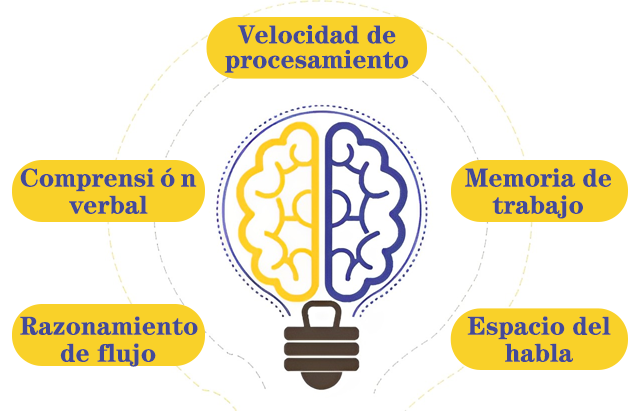Descubra Sus Capacidades Cognitivas